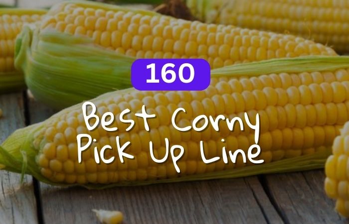 Best Corny Pick Up Line