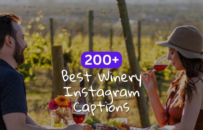 200 Best Winery Instagram Captions to Fullfill All Wedding Celebration Need