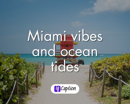 Miami Beach Instagram Quotes