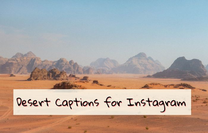 255+ Best Desert Captions for Instagram 2024