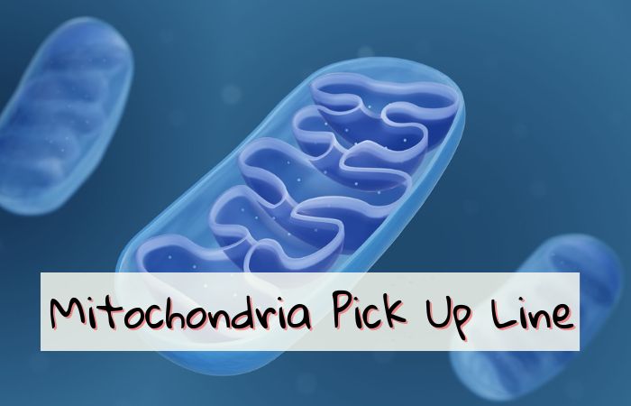 200 Amazing Mitochondria Pick Up Line