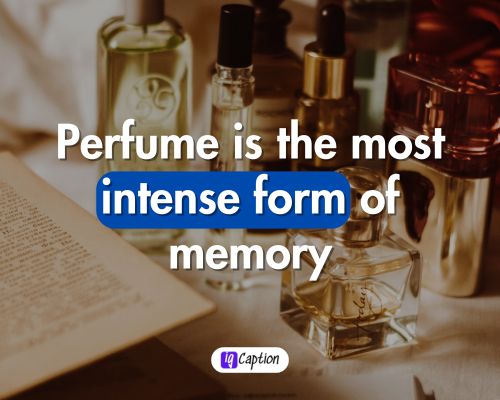 Perfume Quotes