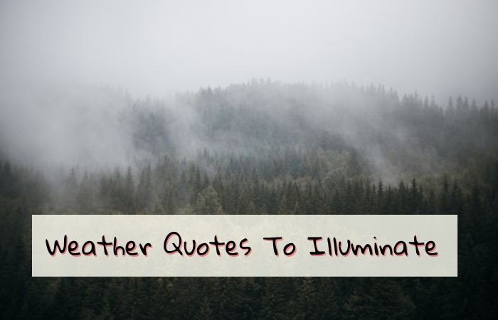 200+ Top Weather Quotes To Illuminate Your Outlook